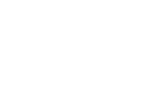 NIVA Logo National Independent Venue Association affiliate of Rock What You Got™