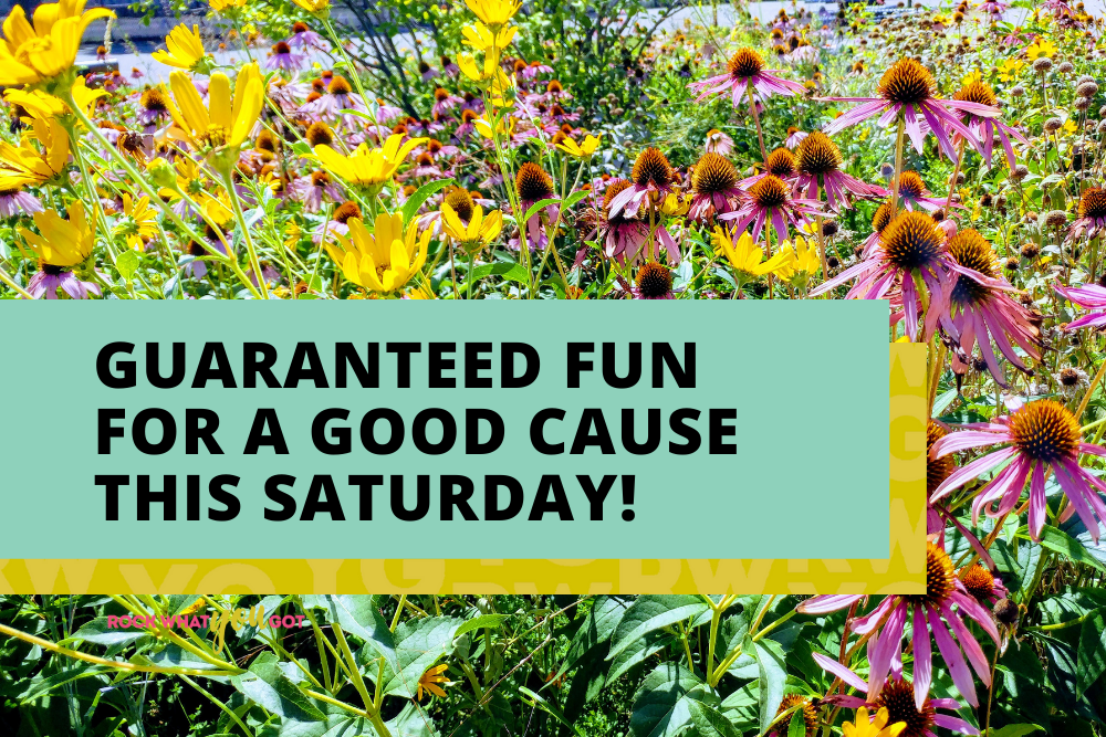 Guaranteed Fun for a Good Cause This Saturday!
